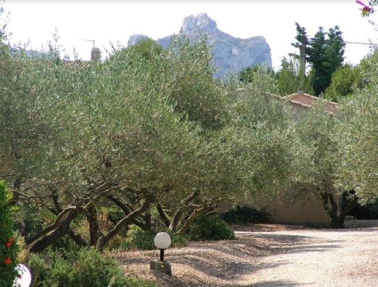 Un Gite En Provence - Les Jardins De Fontanille Saint-Rémy-de-Provence Exterior foto