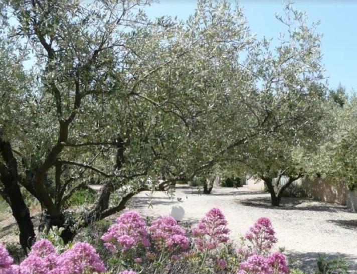 Un Gite En Provence - Les Jardins De Fontanille Saint-Rémy-de-Provence Exterior foto
